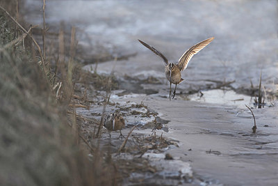 BUITEN BEELD Foto: 380139