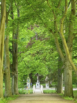 BUITEN BEELD Foto: 380255