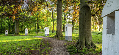 BUITEN BEELD Foto: 380262