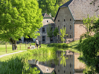 BUITEN BEELD Foto: 380263