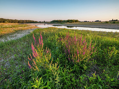 BUITEN BEELD Foto: 380376