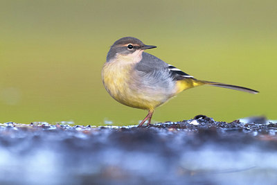 BUITEN BEELD Foto: 380671