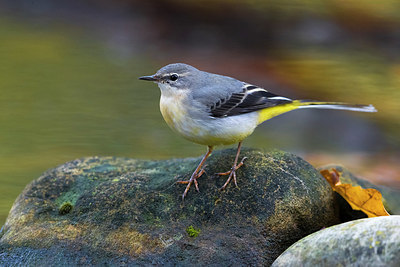 BUITEN BEELD Foto: 380672
