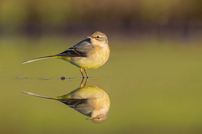 BUITEN BEELD Foto: 380676