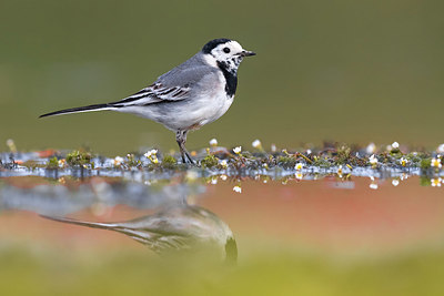 BUITEN BEELD Foto: 380990