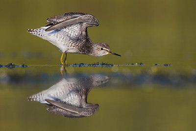 BUITEN BEELD Foto: 381004