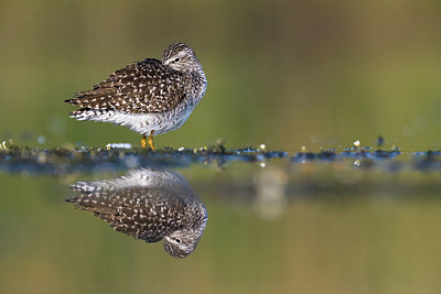 BUITEN BEELD Foto: 381011