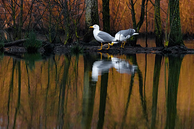 BUITEN BEELD Foto: 381090