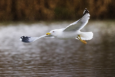 BUITEN BEELD Foto: 381092