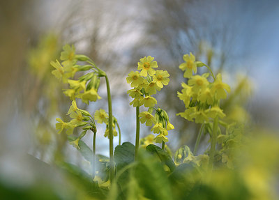BUITEN BEELD Foto: 381189