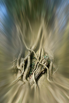BUITEN BEELD Foto: 381271