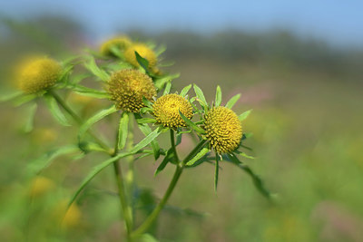 BUITEN BEELD Foto: 381285