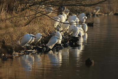 BUITEN BEELD Foto: 381344