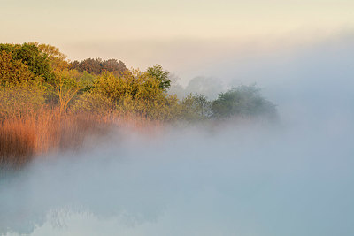 BUITEN BEELD Foto: 381396