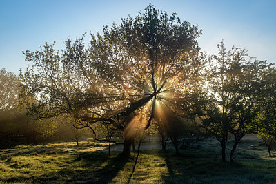 BUITEN BEELD Foto: 381407