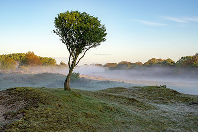 BUITEN BEELD Foto: 381415