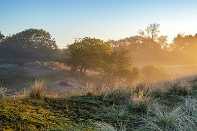 BUITEN BEELD Foto: 381416