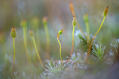 BUITEN BEELD Foto: 381449