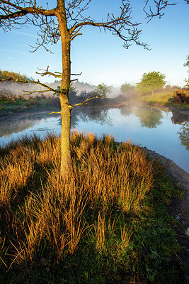 BUITEN BEELD Foto: 381460
