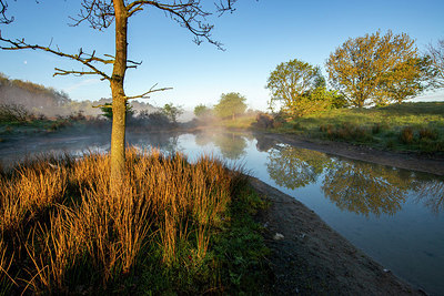 BUITEN BEELD Foto: 381461