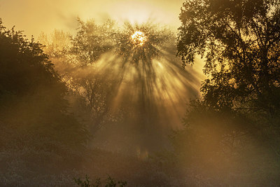 BUITEN BEELD Foto: 381462