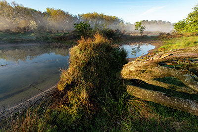BUITEN BEELD Foto: 381463
