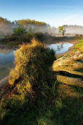 BUITEN BEELD Foto: 381464