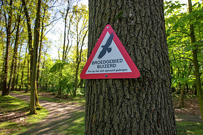 BUITEN BEELD Foto: 381475