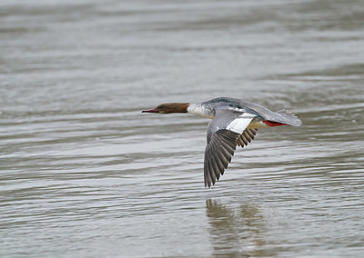 BUITEN BEELD Foto: 381549