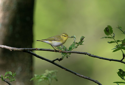 BUITEN BEELD Foto: 381570