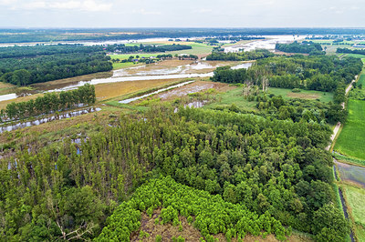 BUITEN BEELD Foto: 381773