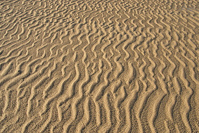 BUITEN BEELD Foto: 381796