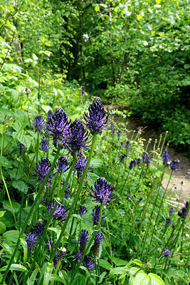 BUITEN BEELD Foto: 381906