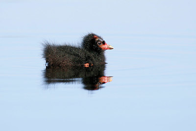 BUITEN BEELD Foto: 381921