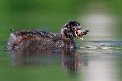 BUITEN BEELD Foto: 381923