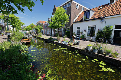 BUITEN BEELD Foto: 382131