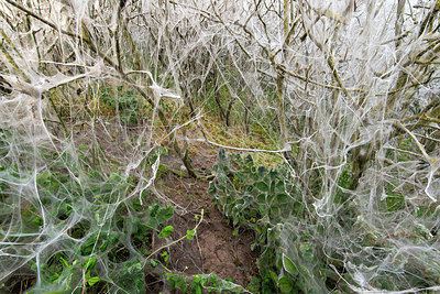 BUITEN BEELD Foto: 382294