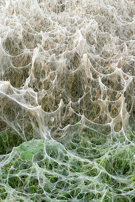 BUITEN BEELD Foto: 382301