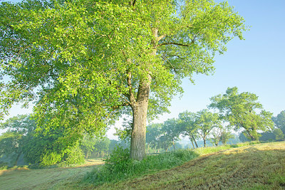 BUITEN BEELD Foto: 382374