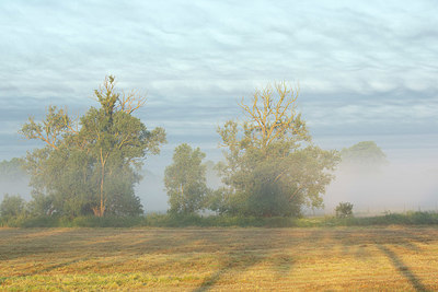 BUITEN BEELD Foto: 382390