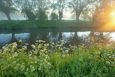 BUITEN BEELD Foto: 382411