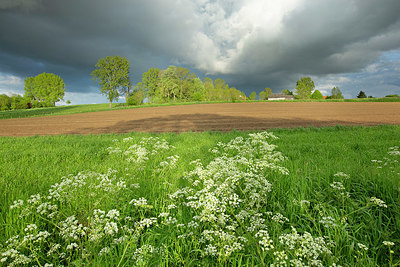 BUITEN BEELD Foto: 382412