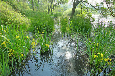 BUITEN BEELD Foto: 382425