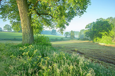 BUITEN BEELD Foto: 382428