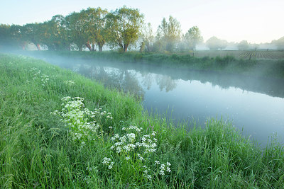 BUITEN BEELD Foto: 382470