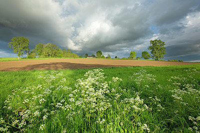 BUITEN BEELD Foto: 382471