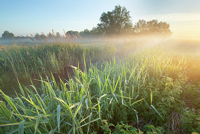 BUITEN BEELD Foto: 382474