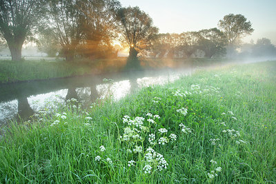 BUITEN BEELD Foto: 382500