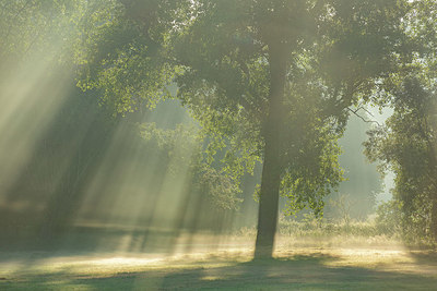 BUITEN BEELD Foto: 382576