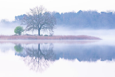 BUITEN BEELD Foto: 382589